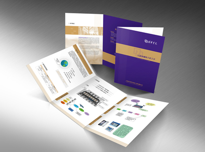 三折頁(yè)與平面設(shè)計(jì)之美 探索原創(chuàng)設(shè)計(jì)作品『xj太陽(yáng)花』