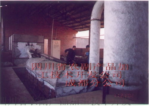 四川省農(nóng)副產(chǎn)品加工技術開發(fā)公司成都分公司 豌豆淀粉渣烘干設備的技術開發(fā)與應用