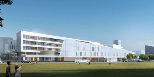 金中江心洲分校新技術開發項目啟動，智慧校園建設再提速